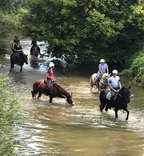 chevaux dans l'eau avec leur cavaliers.
